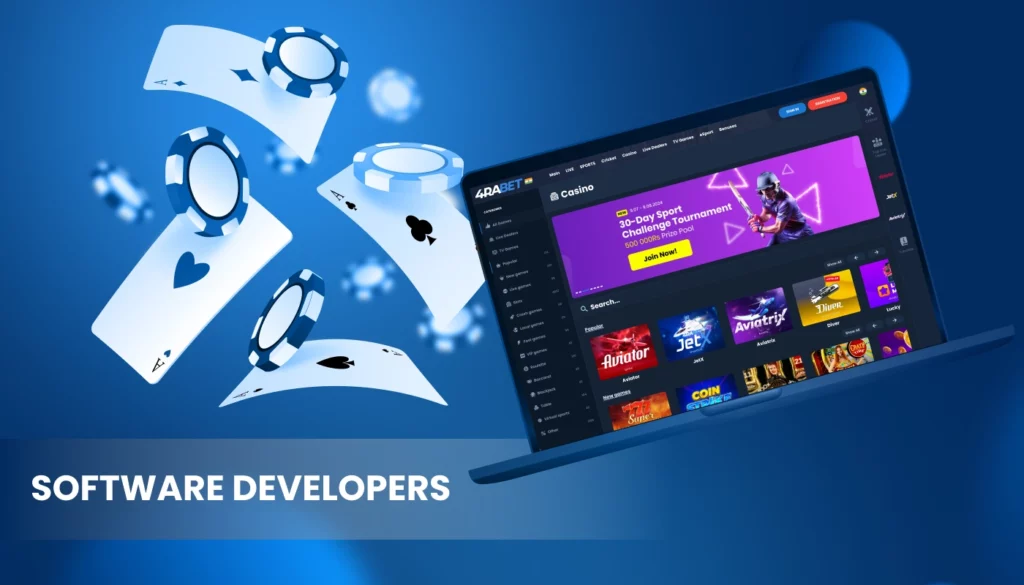 software developers